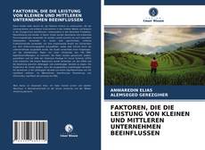 Capa do livro de FAKTOREN, DIE DIE LEISTUNG VON KLEINEN UND MITTLEREN UNTERNEHMEN BEEINFLUSSEN 