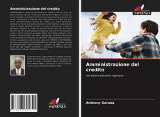 Bookcover of Amministrazione del credito