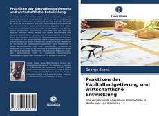 Capa do livro de Praktiken der Kapitalbudgetierung und wirtschaftliche Entwicklung 
