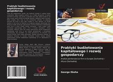 Buchcover von Praktyki budżetowania kapitałowego i rozwój gospodarczy