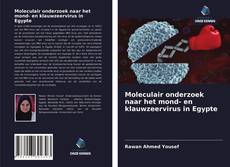 Bookcover of Moleculair onderzoek naar het mond- en klauwzeervirus in Egypte