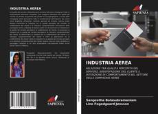 Bookcover of INDUSTRIA AEREA