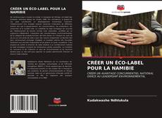 Capa do livro de CRÉER UN ÉCO-LABEL POUR LA NAMIBIE 