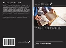 Buchcover von TIC, ocio y capital social