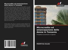 Portada del libro de Microcredito ed emancipazione delle donne in Tanzania