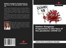 Buchcover von Mother Kangaroo Programme in the face of the pandemic COVID-19