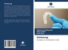 Обложка Schienung