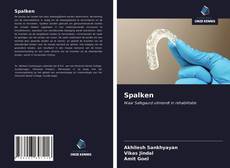 Обложка Spalken