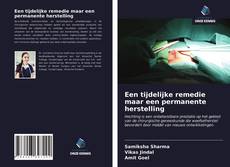 Обложка Een tijdelijke remedie maar een permanente herstelling