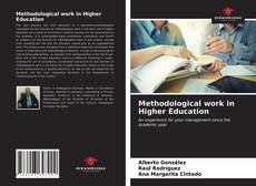 Capa do livro de Methodological work in Higher Education 