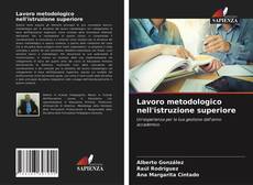 Lavoro metodologico nell'istruzione superiore的封面