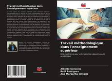 Capa do livro de Travail méthodologique dans l'enseignement supérieur 