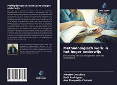 Buchcover von Methodologisch werk in het hoger onderwijs