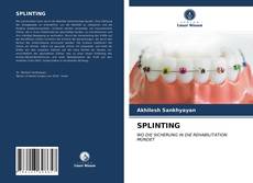 Обложка SPLINTING
