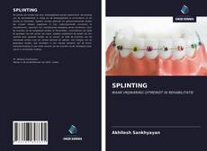 Обложка SPLINTING