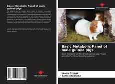 Buchcover von Basic Metabolic Panel of male guinea pigs