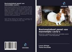 Bookcover of Basismetabool panel van mannelijke cavia's