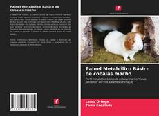 Capa do livro de Painel Metabólico Básico de cobaias macho 