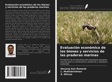 Bookcover of Evaluación económica de los bienes y servicios de las praderas marinas