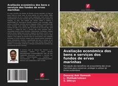 Capa do livro de Avaliação económica dos bens e serviços dos fundos de ervas marinhas 