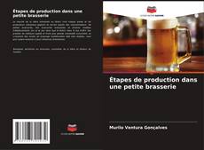 Étapes de production dans une petite brasserie kitap kapağı