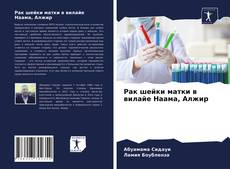 Bookcover of Рак шейки матки в вилайе Наама, Алжир