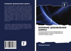 ВЛИЯНИЕ ДОБАВЛЕНИЯ ЦИНКА的封面