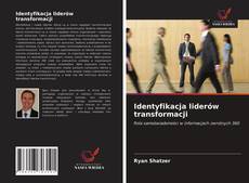 Identyfikacja liderów transformacji kitap kapağı