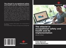 Capa do livro de The eSocial in occupational safety and health and its implementation 