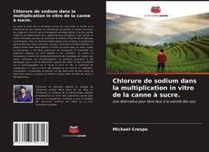 Capa do livro de Chlorure de sodium dans la multiplication in vitro de la canne à sucre. 