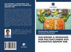 Borítókép a  ISOLIERUNG & REINIGUNG VON POLYSACCHARID AUS PLEUROTUS DJAMOR VAR. - hoz