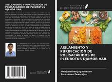 Обложка AISLAMIENTO Y PURIFICACIÓN DE POLISACÁRIDOS DE PLEUROTUS DJAMOR VAR.