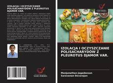 Copertina di IZOLACJA I OCZYSZCZANIE POLISACHARYDÓW Z PLEUROTUS DJAMOR VAR.