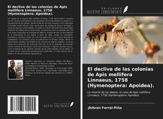 Bookcover of El declive de las colonias de Apis mellifera Linnaeus, 1758 (Hymenoptera: Apoidea).