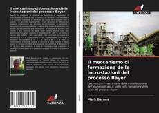 Capa do livro de Il meccanismo di formazione delle incrostazioni del processo Bayer 