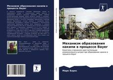 Bookcover of Механизм образования накипи в процессе Bayer