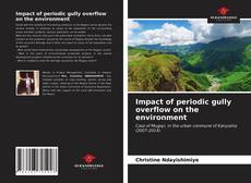 Capa do livro de Impact of periodic gully overflow on the environment 