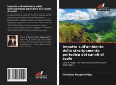 Capa do livro de Impatto sull'ambiente dello straripamento periodico dei canali di scolo 