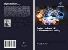 Bookcover of Projectbeheer bij softwareontwikkeling