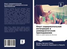 Bookcover of Опыт содержательной интеграции в университетском преподавании