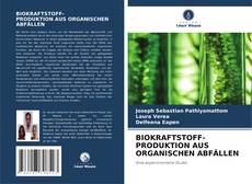 Capa do livro de BIOKRAFTSTOFF- PRODUKTION AUS ORGANISCHEN ABFÄLLEN 