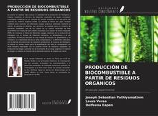 Обложка PRODUCCIÓN DE BIOCOMBUSTIBLE A PARTIR DE RESIDUOS ORGÁNICOS