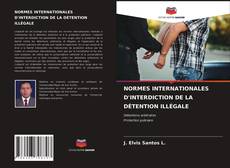 Copertina di NORMES INTERNATIONALES D'INTERDICTION DE LA DÉTENTION ILLÉGALE