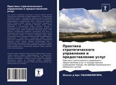 Copertina di Практика стратегического управления и предоставление услуг