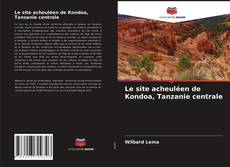 Copertina di Le site acheuléen de Kondoa, Tanzanie centrale