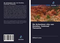 Capa do livro de De Acheulean site van Kondoa, Centraal Tanzania 
