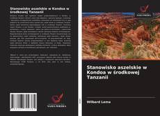 Bookcover of Stanowisko aszelskie w Kondoa w środkowej Tanzanii