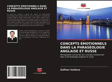 Couverture de CONCEPTS ÉMOTIONNELS DANS LA PHRASÉOLOGIE ANGLAISE ET RUSSE