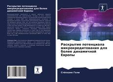 Раскрытие потенциала микрокредитования для более динамичной Европы的封面