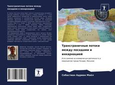 Copertina di Трансграничные потоки между посадами и инкарнацией